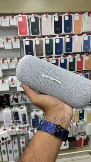 Harman Kardon Luna Speaker Gray