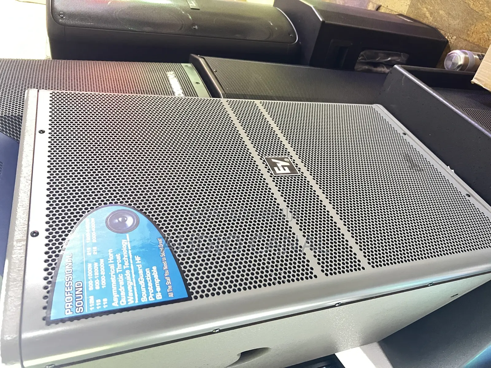 Electronic Voices 15” Mid Range Speaker (EV )