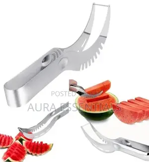 Fruits and Melon Slicer