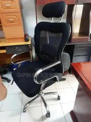 Orthopedic Office Chair With Headrest