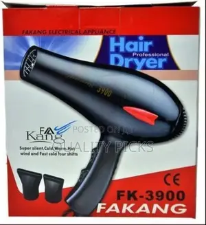 Professional Hair Dryer