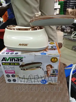 Mini Travel Steam Iron