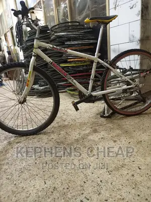 Adult Bike Size 26