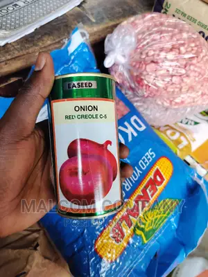 Onion Seeds Red Creoles C5 1.5kg Per Acre. 28 Tonnes Output.