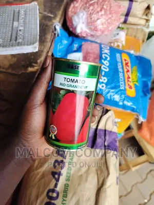 Tomato Seeds. 80g Per Acre.