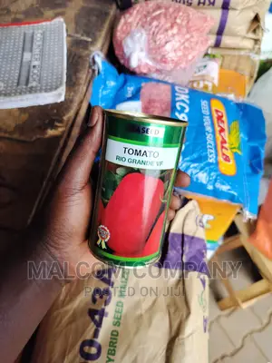 Tomato Seeds. 80g Per Acre.