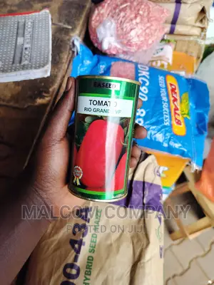 Tomato Seeds. 80g Per Acre.