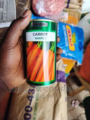 Carrot Seeds ( Nantes) 2.5kg Per Acre