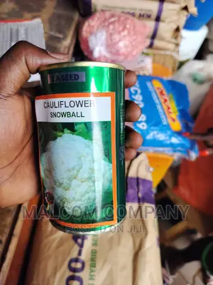 Cauliflower/Snowball