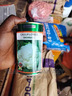 Cauliflower/Snowball