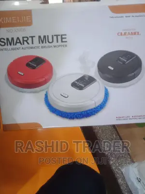 Automatic Brush Mopper