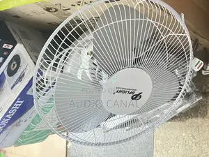 Dplight 16” Ceiling Fan