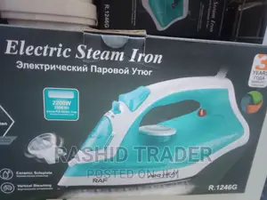 Steam Iron in Stock