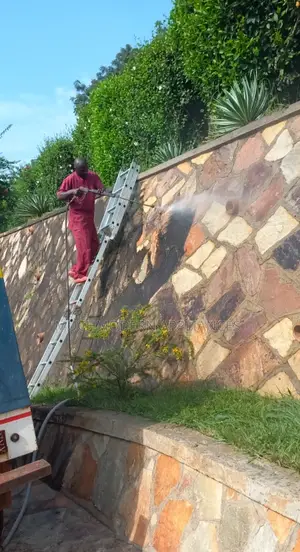 Cleaning Pavers And Stones