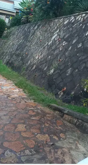 Cleaning Pavers And Stones
