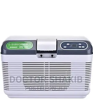 Mini Portable Electric Car Refrigerator Box