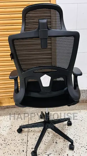 Ergonomic Office Chair