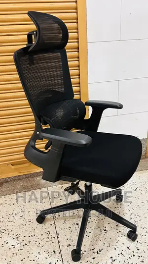 Ergonomic Office Chair