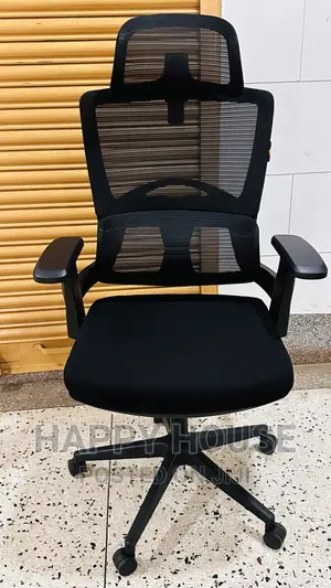 Ergonomic Office Chair