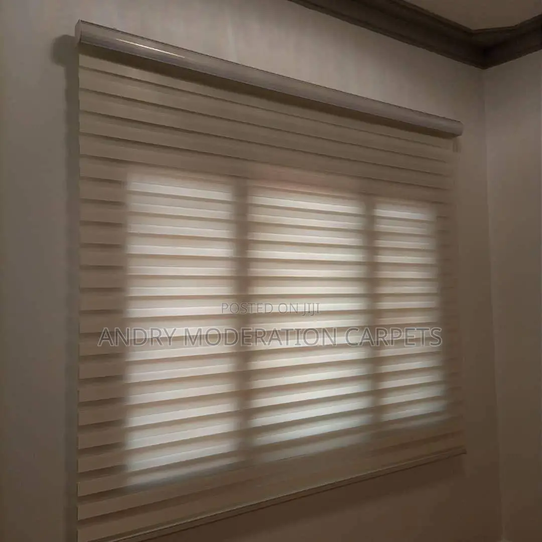 Zerba Blinders Office Curtains