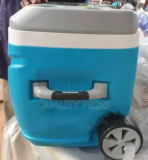 Portable Cooler Box
