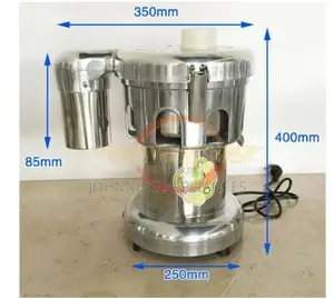Electric Juicer