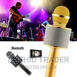 Ws 858 Portable Wireless Microphone