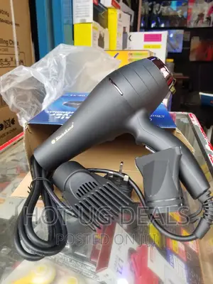 Simbaland Professional Hair Blow Dryer -black