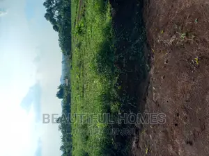 Gayaza Affordable Plots for Sell