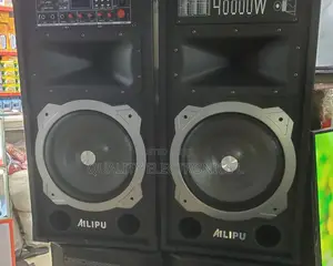 Ailipu Speaker 9031 40000w
