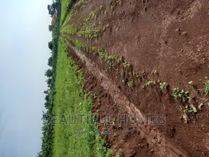 Gayaza Nakasajja Land on Sale
