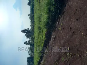 Gayaza Nakasajja Plots for Sell