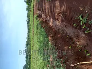 Gayaza Nakasajja Estate Plots for Quicksell
