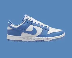 White and Blue Nike Sneaker