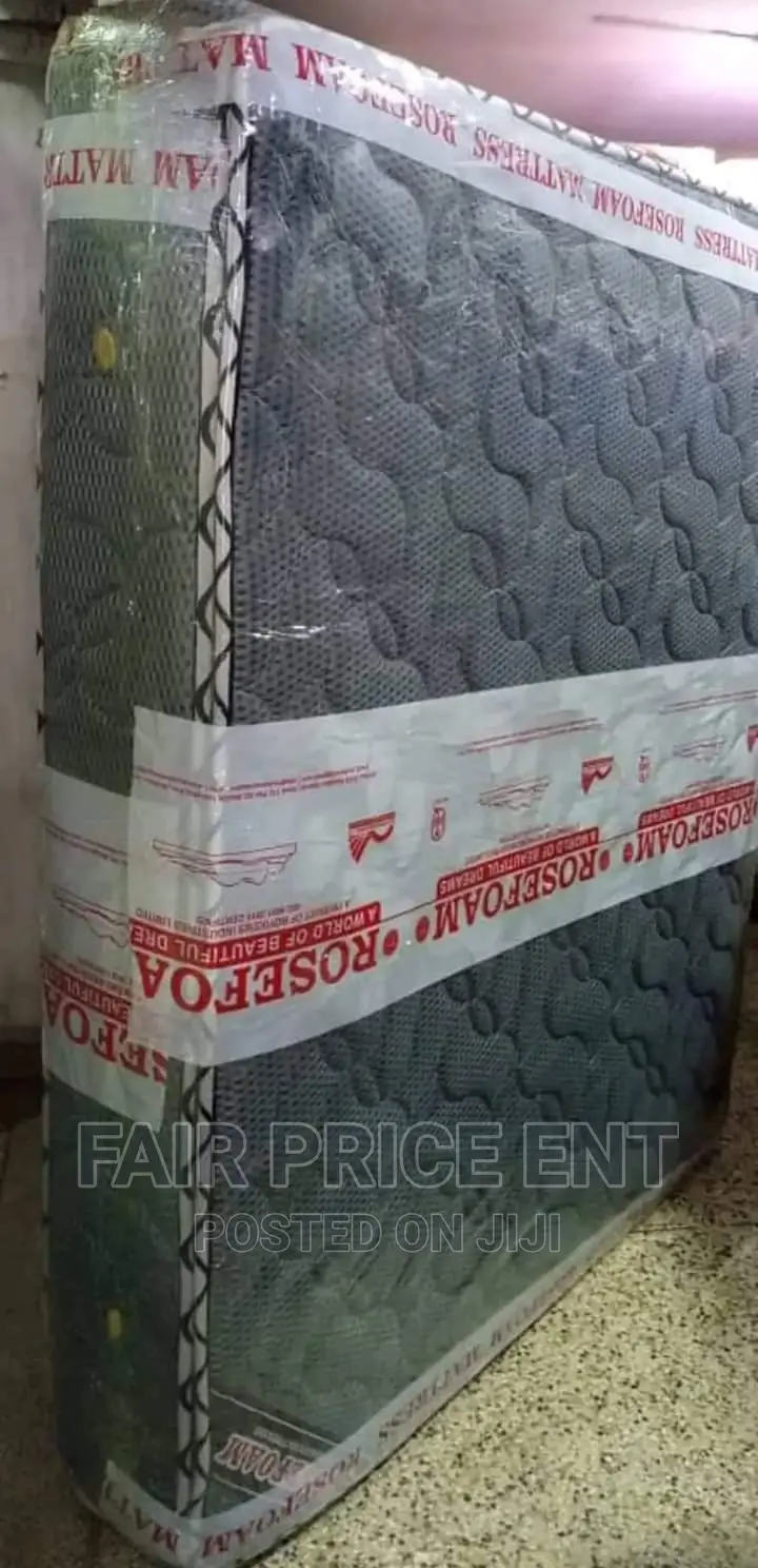 Double Layer Spring Mattress.5x6x12 Inches.( Gray)