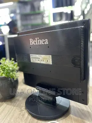 Belinea 19 Standard Monitor
