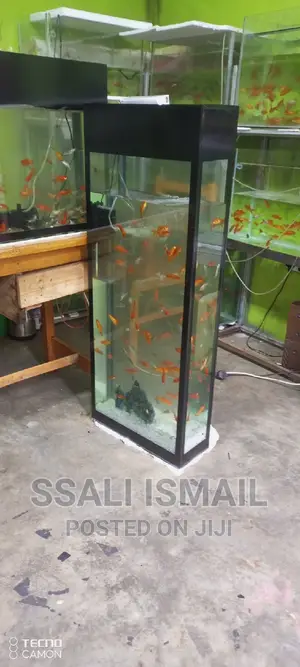 The Smart Black Aquarium