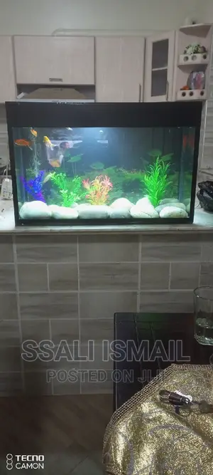 Simple and Easy to Maintain Aquarium