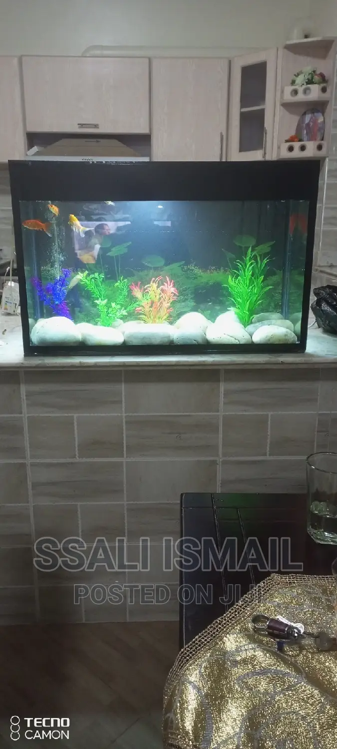 Simple and Easy to Maintain Aquarium
