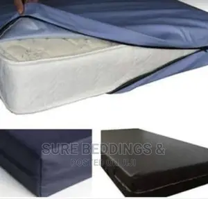 Mattress Protector/Macintosh