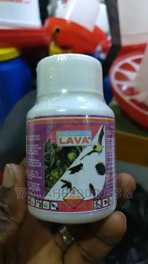 Lava 100 EC Insecticide ( Bedbugs)