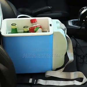 Mini Car Fridge
