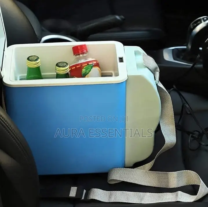 Mini Car Fridge