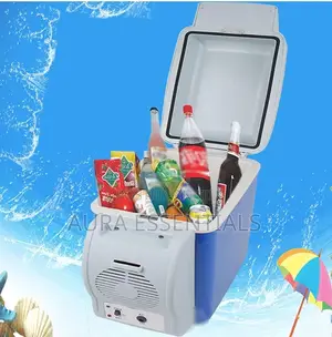 Mini Car Fridge
