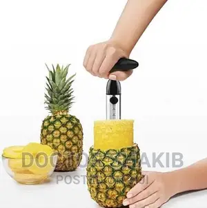 New Pineapple Corer Slicer Peeler or Cutter