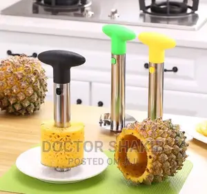 New Pineapple Corer Slicer Peeler or Cutter