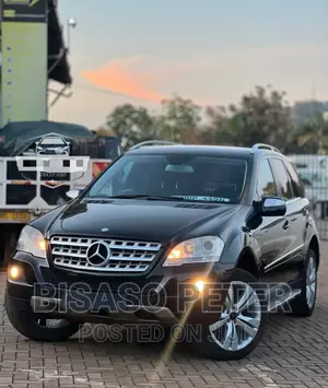Mercedes-Benz M Class 2009 Black