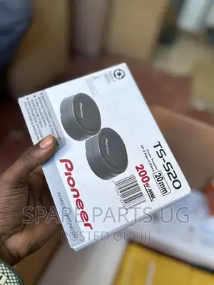Original Pioneer TS- S20 Tweeters
