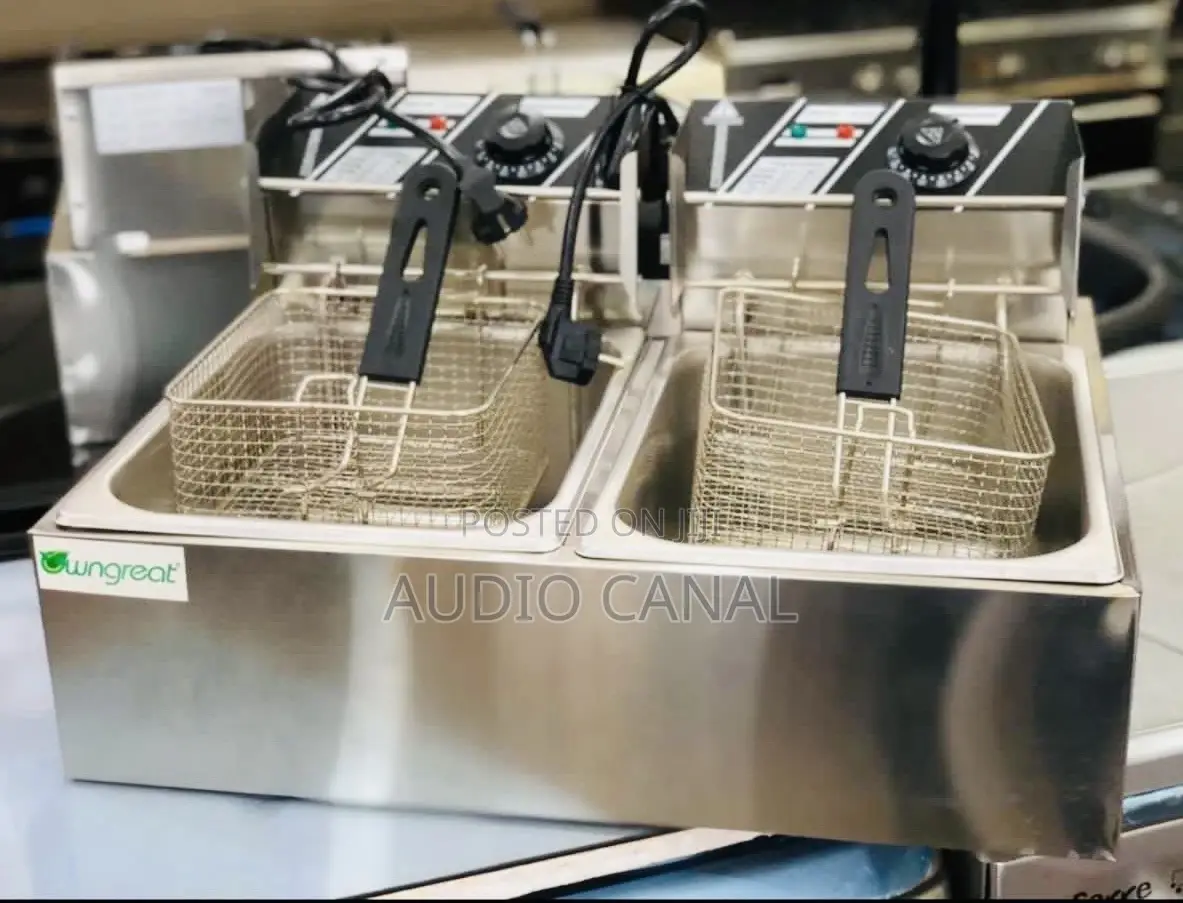 Owngreat Double Deep Fryer