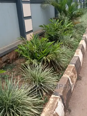 Compound Gardening With Flowers